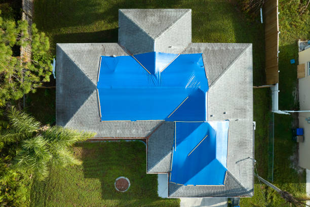 Best Metal Roofing Installation  in Mill Plain, CT